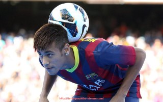 雨燕直播-降级后他们去哪了？近年德甲球队降级去向追踪分析