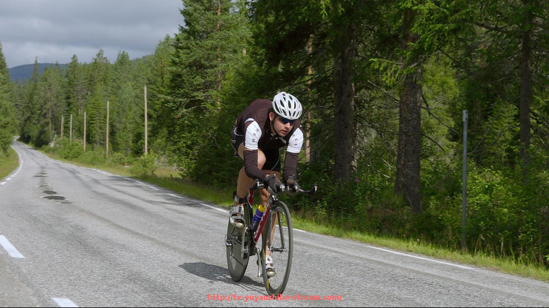 雨燕直播-2017年意甲球队身价排行及经济影响分析