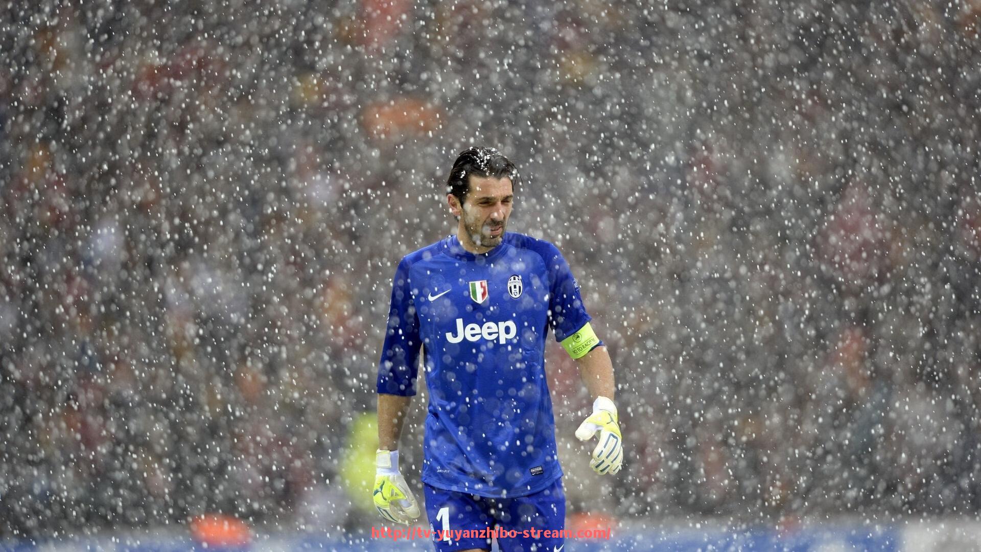 雨燕直播-罗纳尔多在意甲效力球队的精彩表现视频