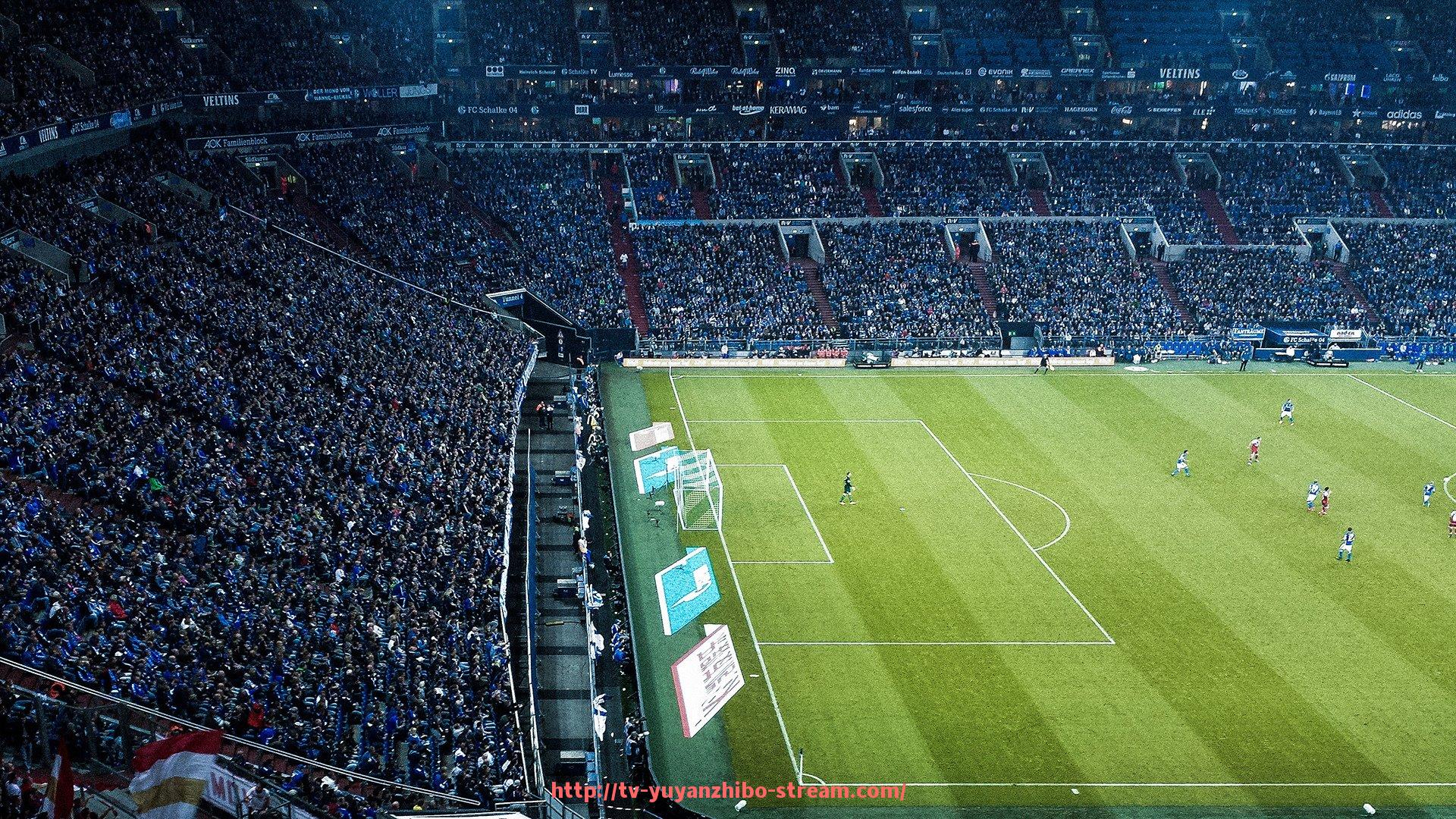 雨燕直播-从NBA转战CBA的著名球员案例汇总